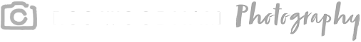 Light Logo